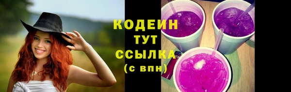 спиды Арсеньев