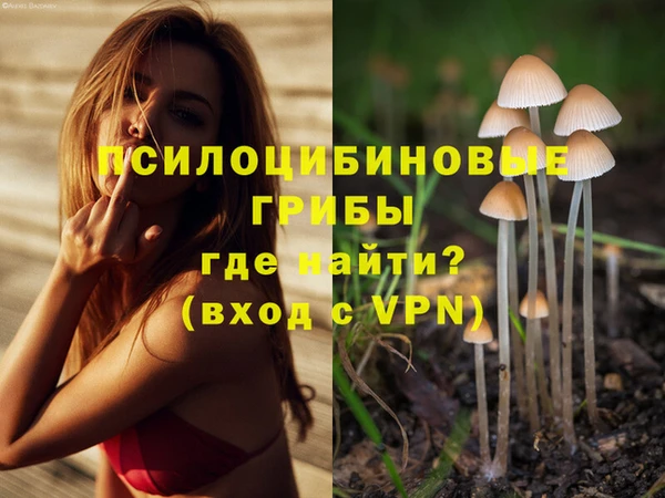 твердый Верея
